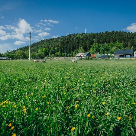 Apartamenty Lesna Лиманова Экстерьер фото