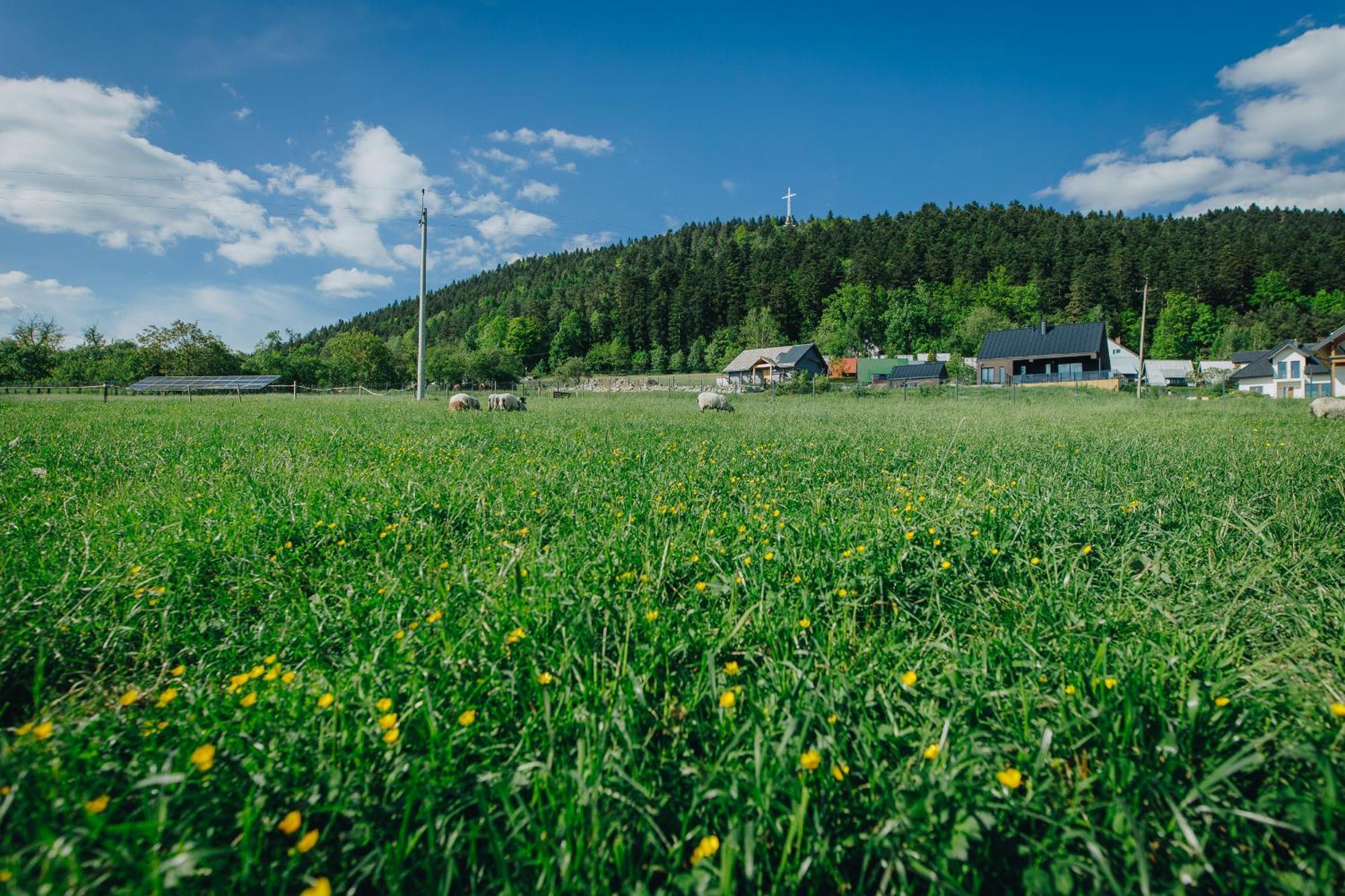 Apartamenty Lesna Лиманова Экстерьер фото